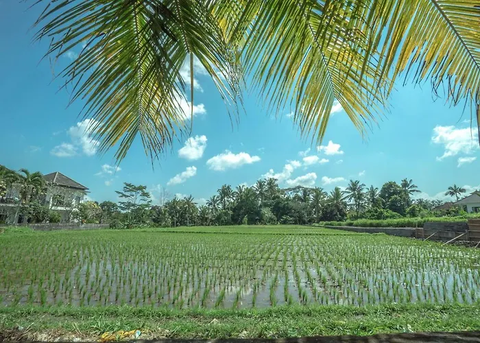 The Kutuh Ubud